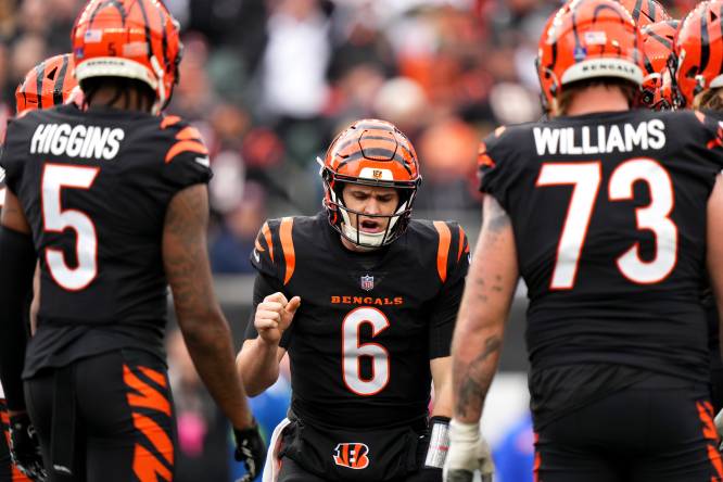 nfl week 15 grades: cincinnati bengals, jake browning