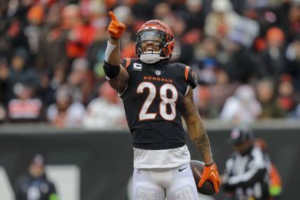 Jan 7, 2024; Cincinnati, Ohio, USA; Cincinnati Bengals running back Joe Mixon (28) reacts after scoring a touchdown against the Cleveland Browns in the first half at Paycor Stadium. Mandatory Credit: Katie Stratman-USA TODAY Sports