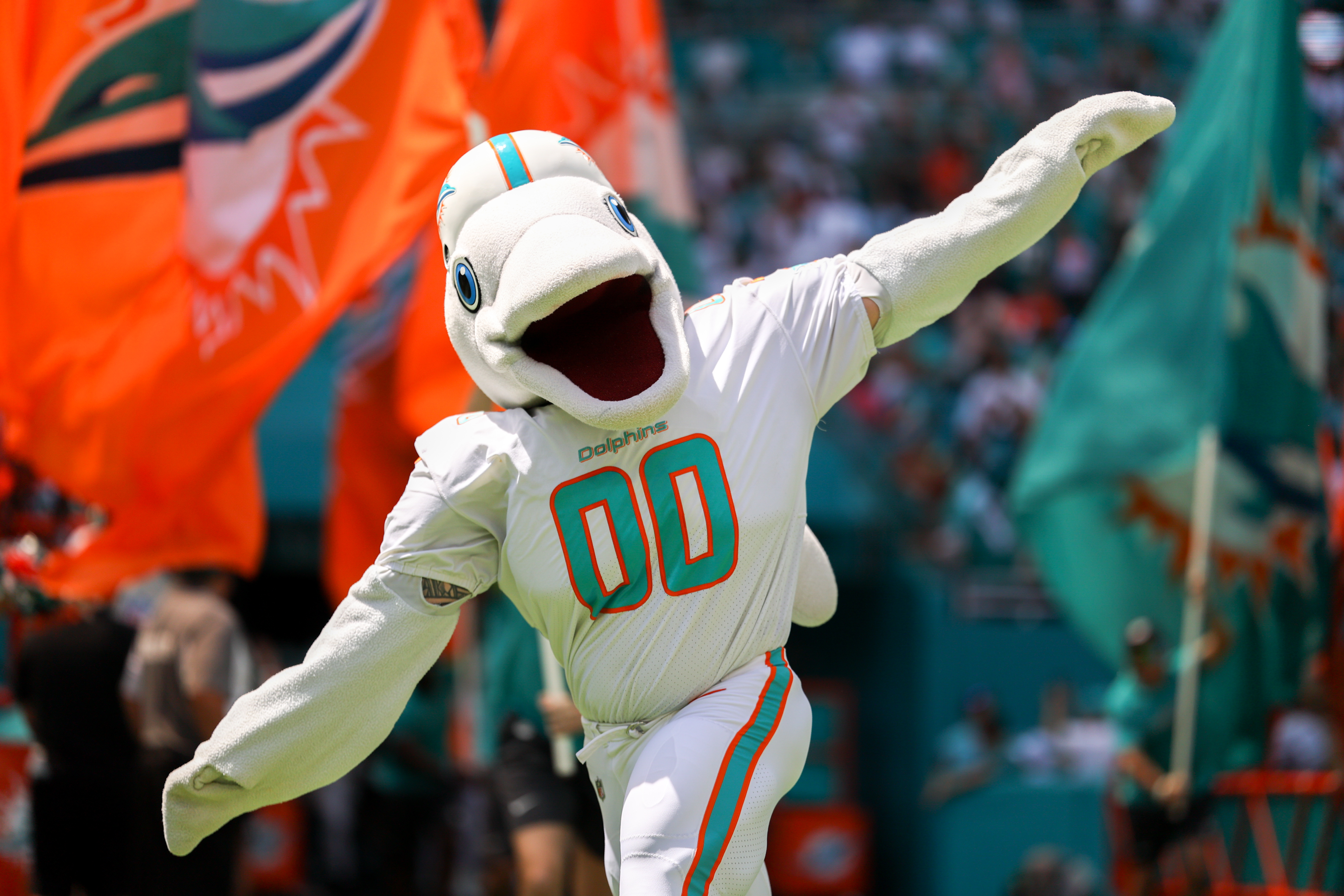 All 28 NFL Mascots Ranked In 2024 - Sportsnaut