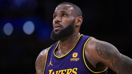 Los Angeles Lakers star LeBron James remains neutral when speaking out on Darvin Ham drama