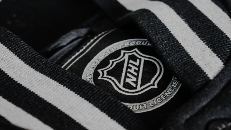 the history behind the NHL logo, credit unsplash (1)