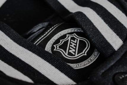 the history behind the NHL logo, credit unsplash (1)
