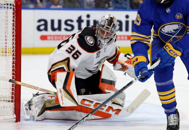 Feb 19, 2024; Buffalo, New York, USA;  Anaheim Ducks goaltender John Gibson (36) looks for the puck during the second period against the Buffalo Sabres at KeyBank Center. Mandatory Credit: Timothy T. Ludwig-USA TODAY Sports