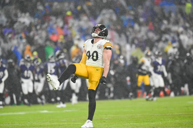 T.J. Watt, Pittsburgh Steelers