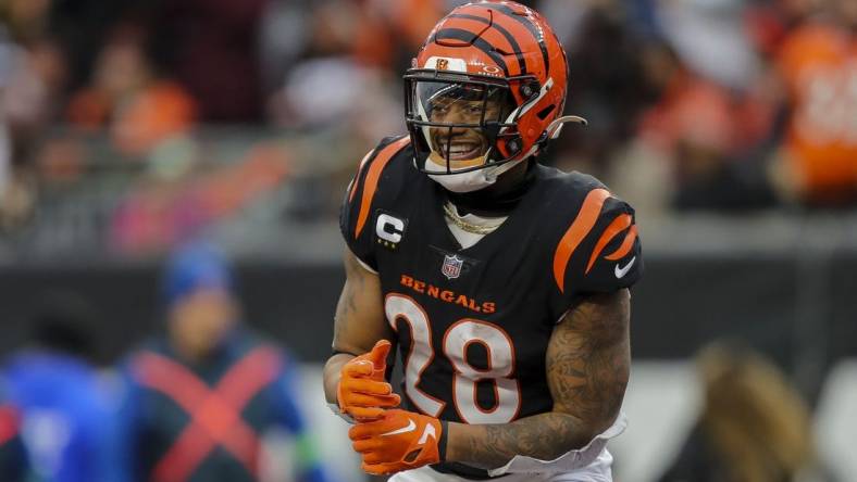 Jan 7, 2024; Cincinnati, Ohio, USA; Cincinnati Bengals running back Joe Mixon (28) reacts after wide receiver Andrei Iosivas (not pictured) scored a touchdown against the Cleveland Browns in the second half at Paycor Stadium. Mandatory Credit: Katie Stratman-USA TODAY Sports