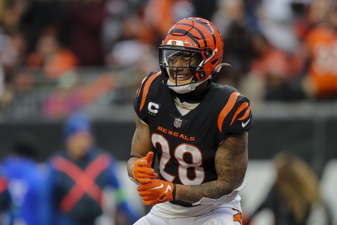 Jan 7, 2024; Cincinnati, Ohio, USA; Cincinnati Bengals running back Joe Mixon (28) reacts after wide receiver Andrei Iosivas (not pictured) scored a touchdown against the Cleveland Browns in the second half at Paycor Stadium. Mandatory Credit: Katie Stratman-USA TODAY Sports