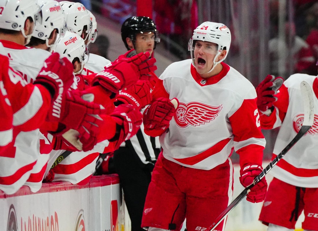 Jan 19, 2024; Raleigh, North Carolina, USA;  Detroit Red Wings center Klim Kostin (24) celebrates his goal against the Carolina Hurricanes during the first period at PNC Arena. Mandatory Credit: James Guillory-USA TODAY Sports