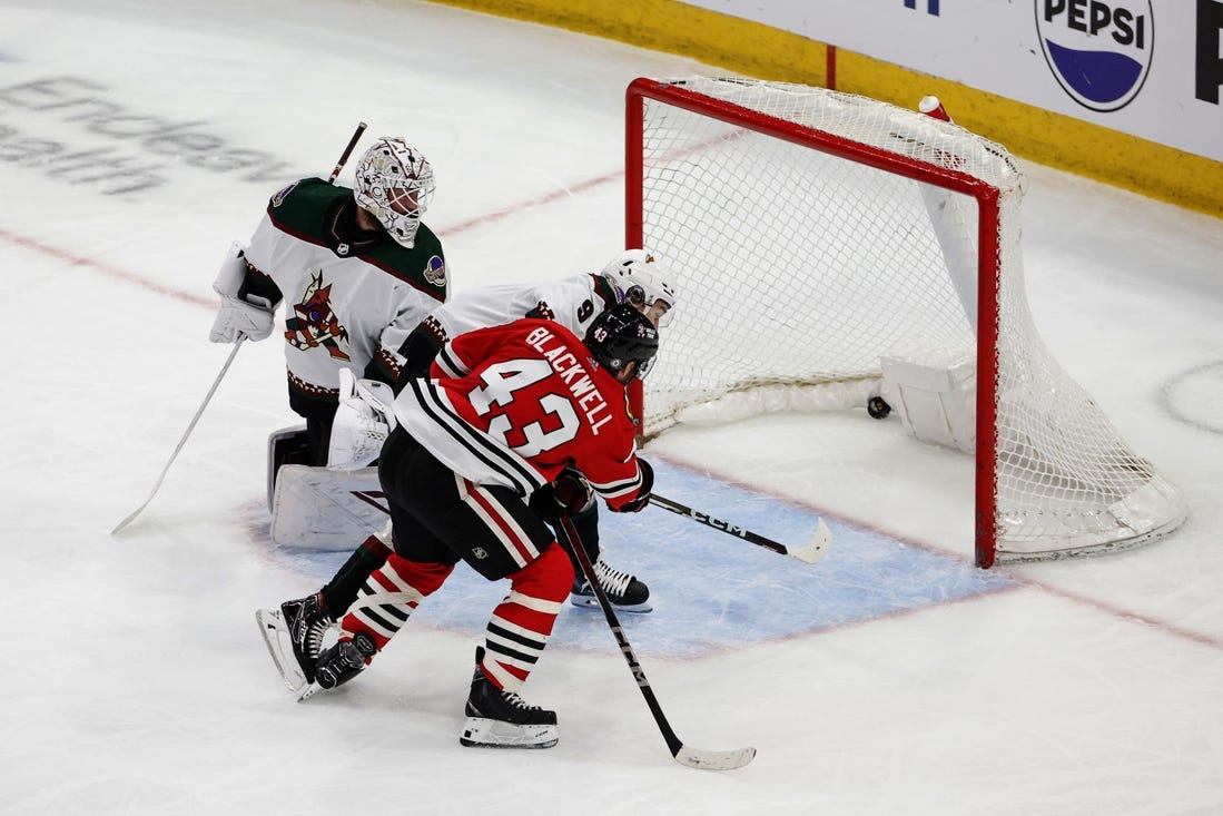 Mar 10, 2024; Chicago, Illinois, USA; Chicago Blackhawks center Colin Blackwell (43) scores against the Arizona Coyotes during the second period at United Center. Mandatory Credit: Kamil Krzaczynski-USA TODAY Sports