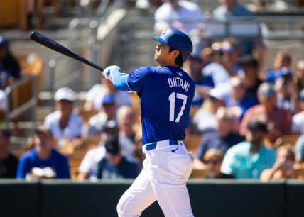 Los Angeles Dodgers hitter Shohei Ohtani