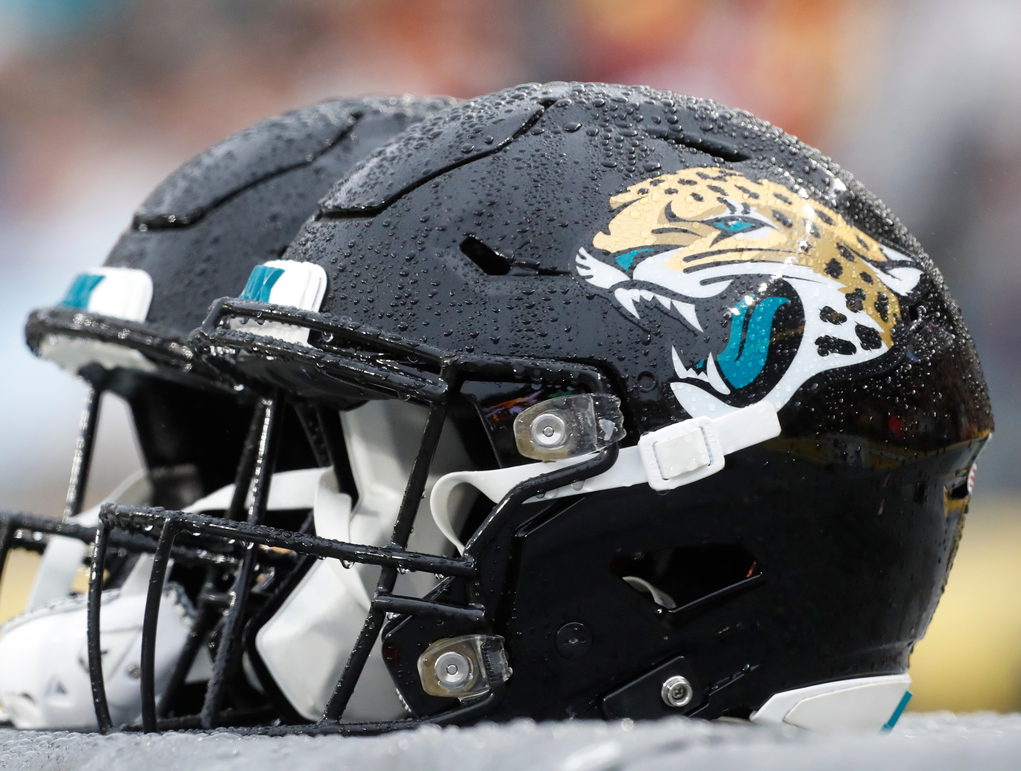 jacksonville jaguars