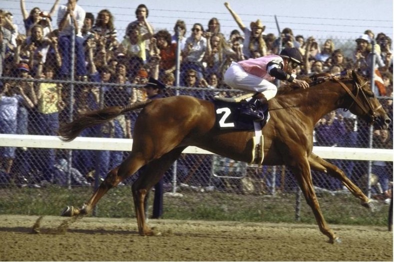 Affirmed Kentucky Derby