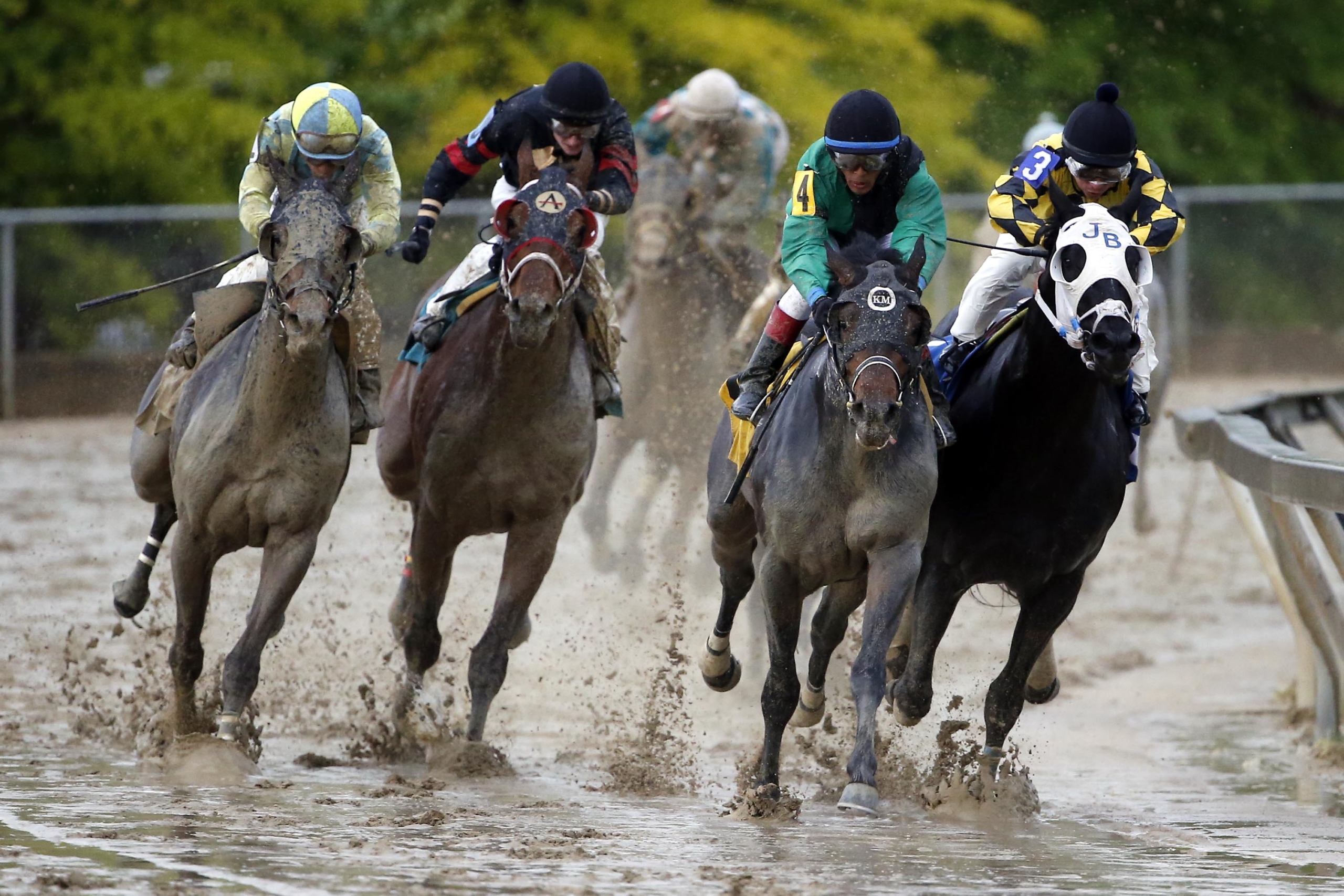 Preakness Stakes