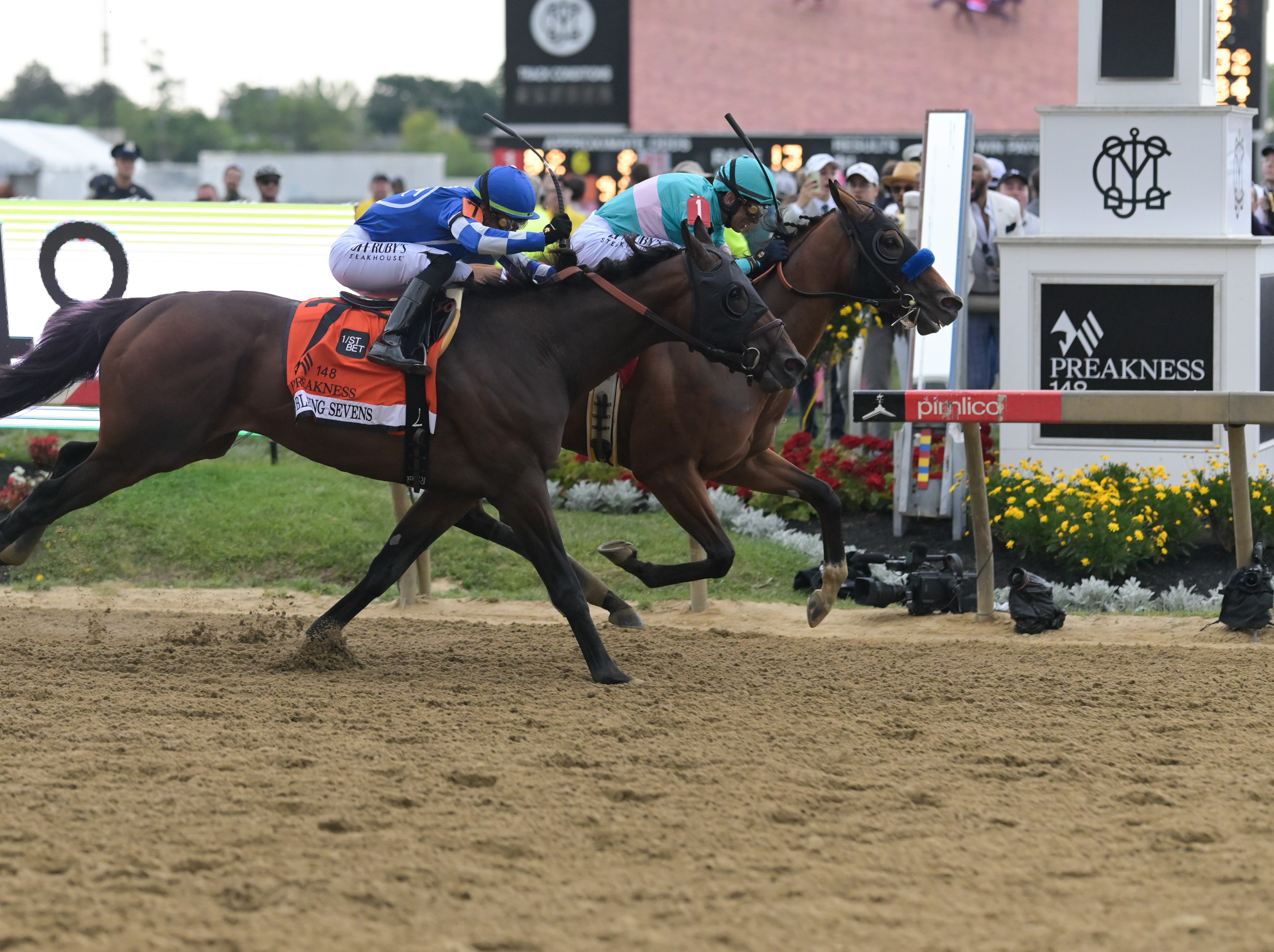 Preakness Stakes horses