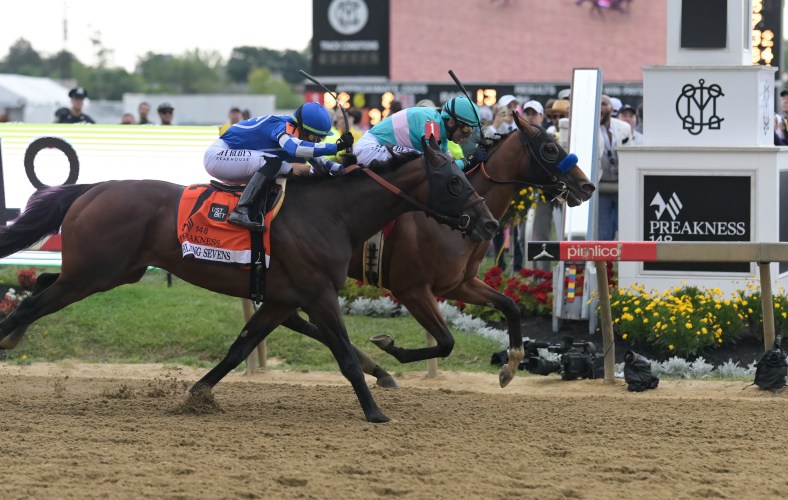 Preakness Stakes horses