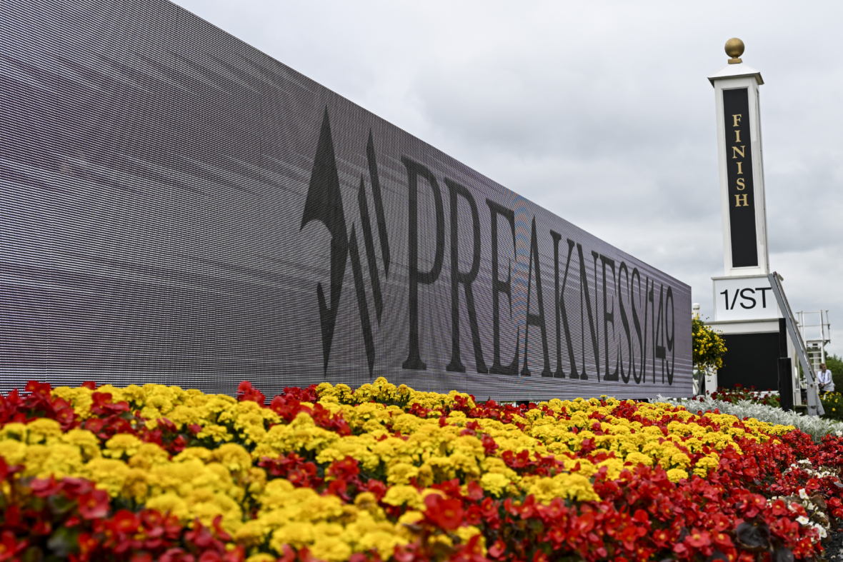 preakness stakes