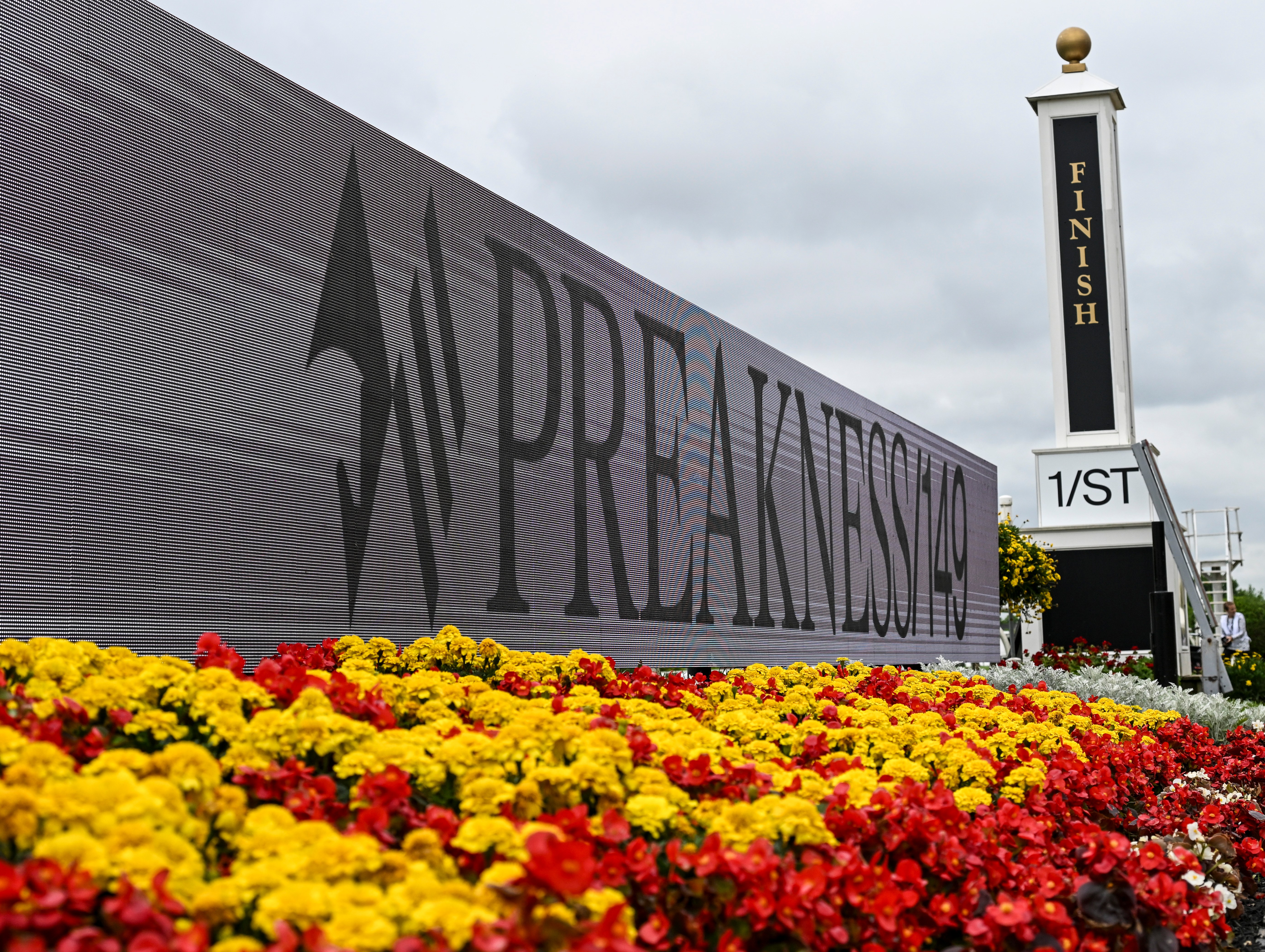 preakness stakes