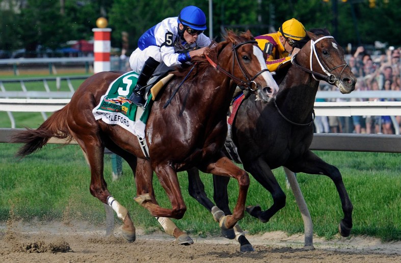 Shackleford Preakness Stakes