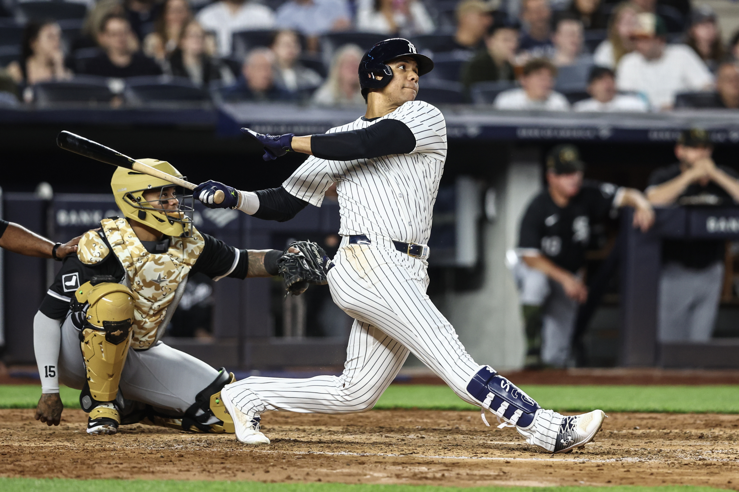 Juan Soto New York Yankees American League MVP