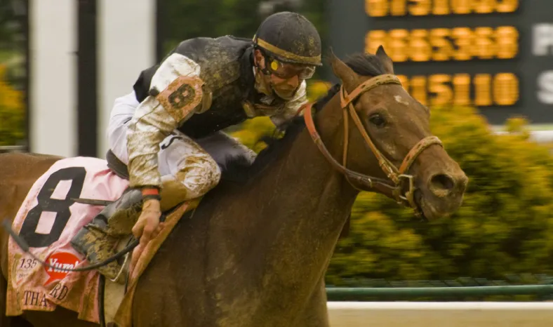 Mine That Bird kentucky derby 2009