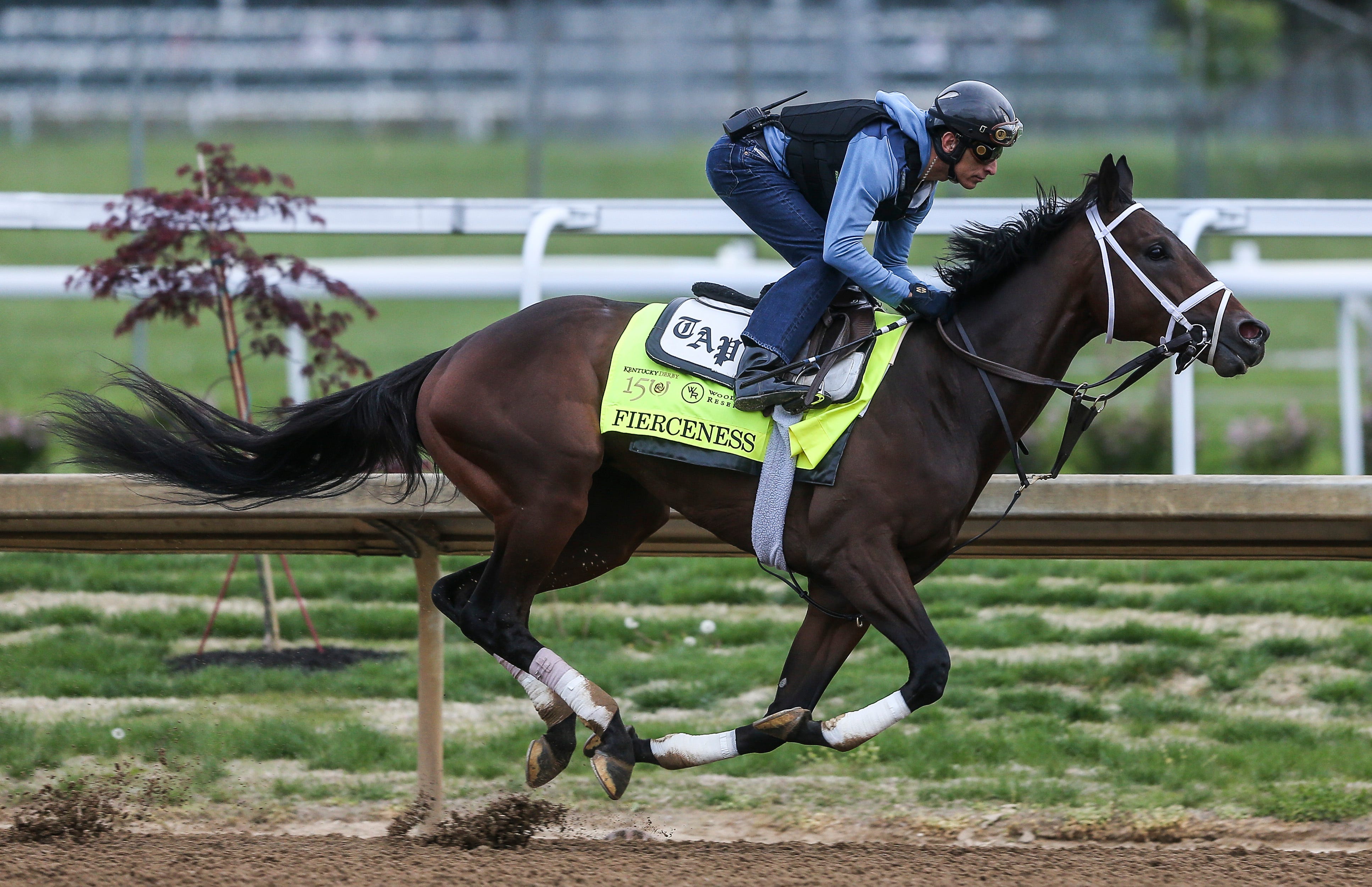 Kentucky Derby Fierceness