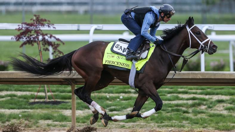 Kentucky Derby Fierceness