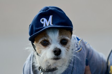 Milwaukee Brewers game today