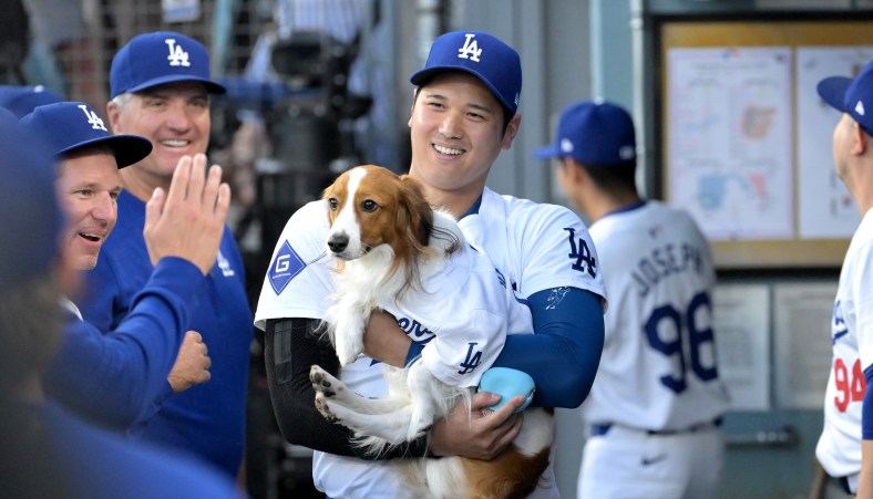 shohei ohtani