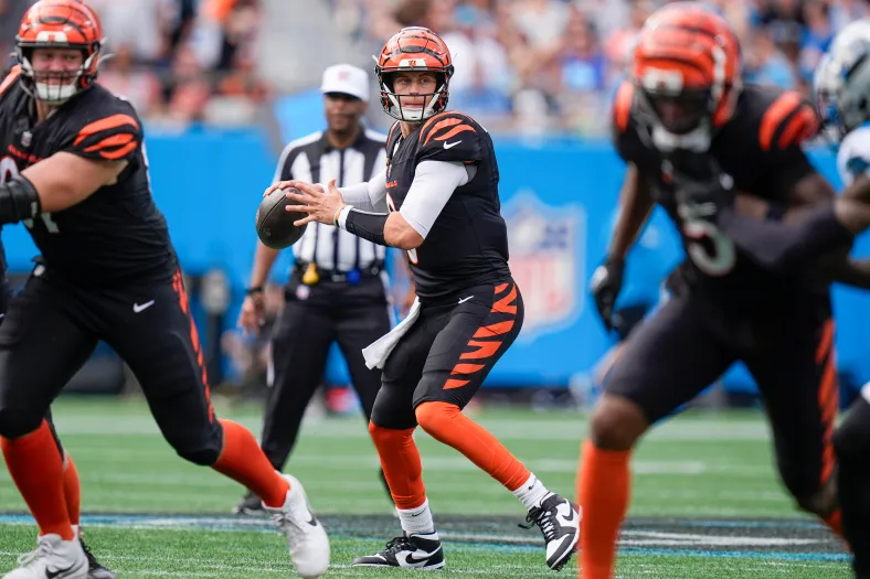 NFL: Cincinnati Bengals at Carolina Panthers