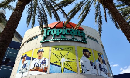 tampa bay rays