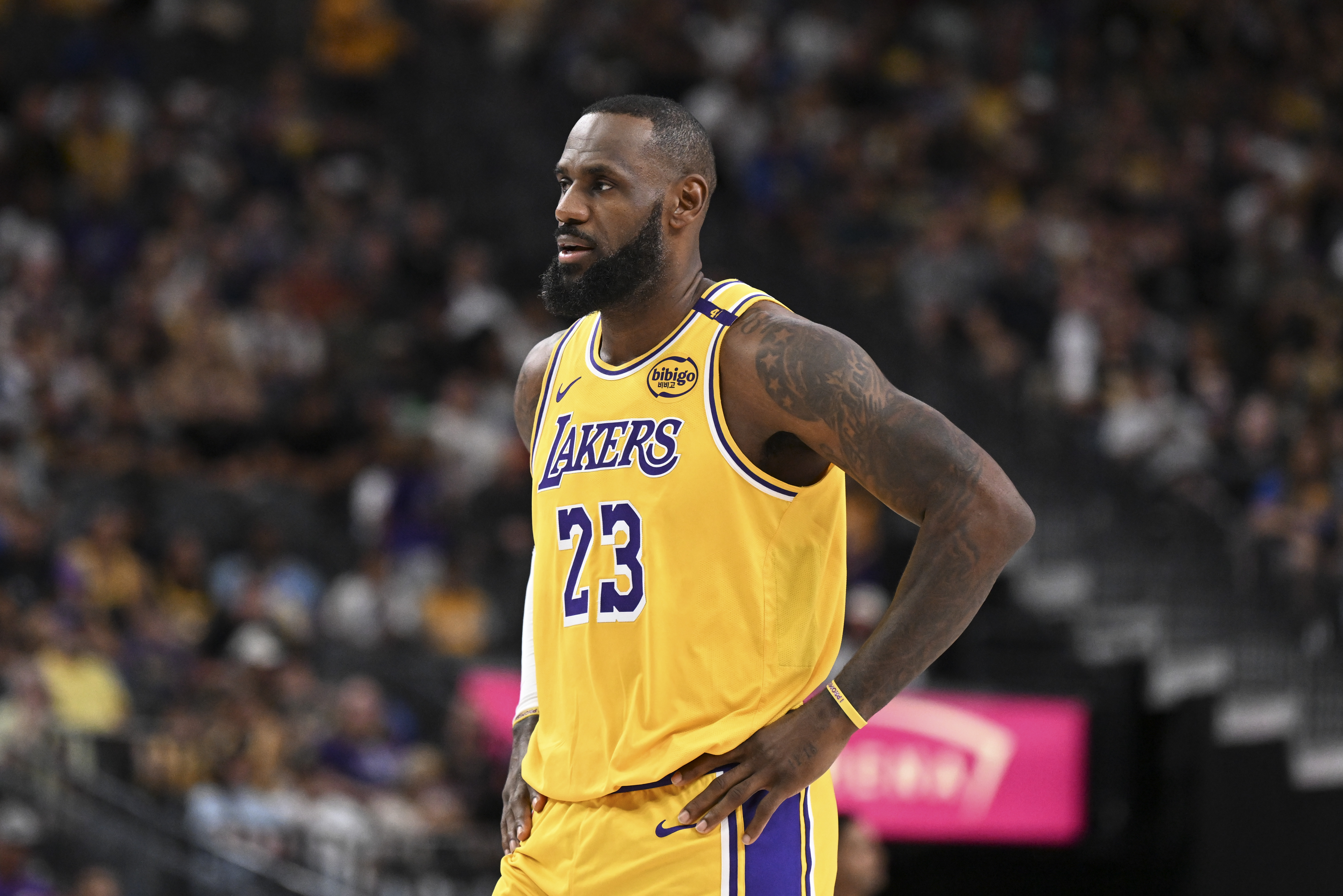 Predicting winloss records for Los Angeles Lakers, New York Knicks and