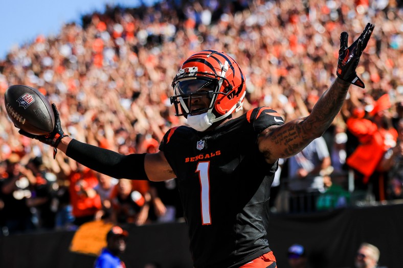 NFL: Baltimore Ravens at Cincinnati Bengals