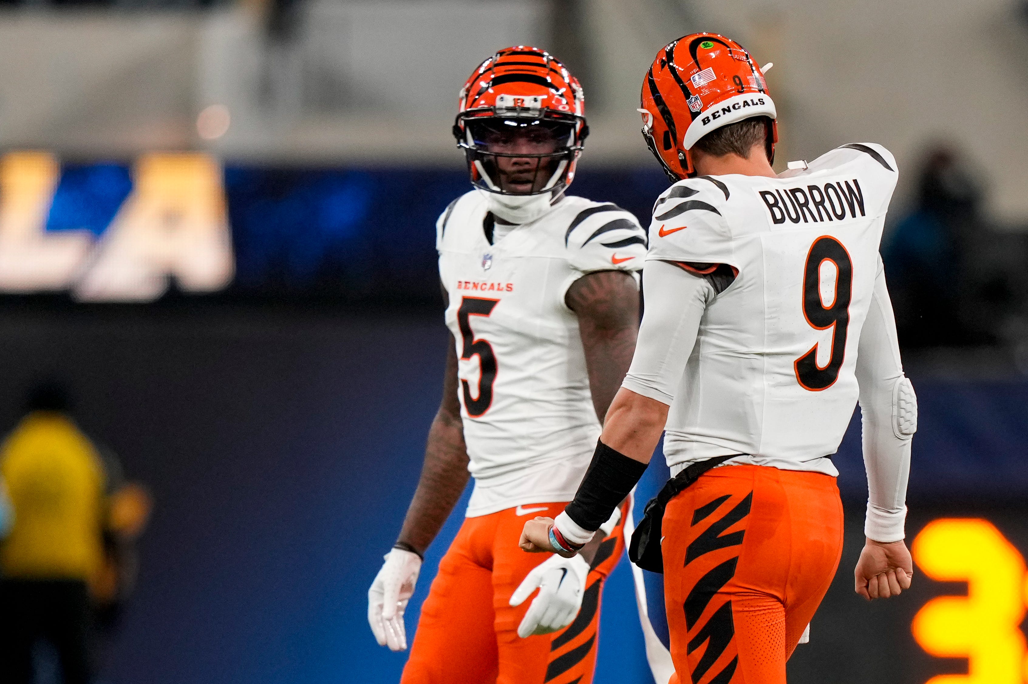 cincinnati bengals