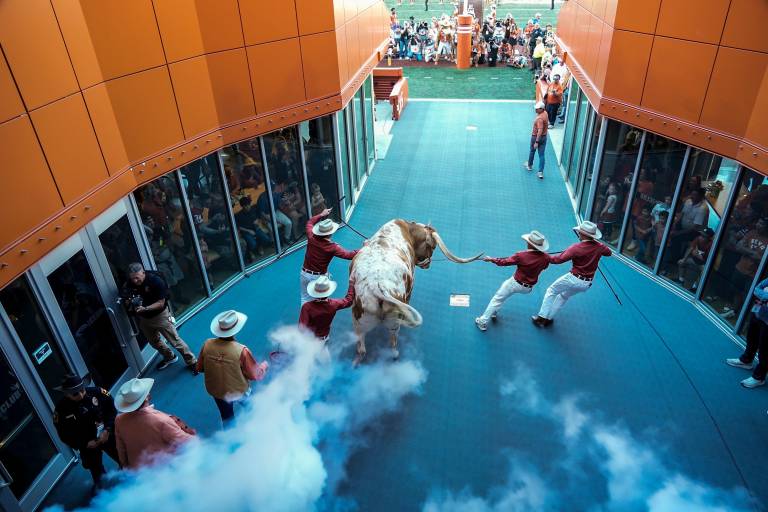 Bevo XV, Texas Longhorns