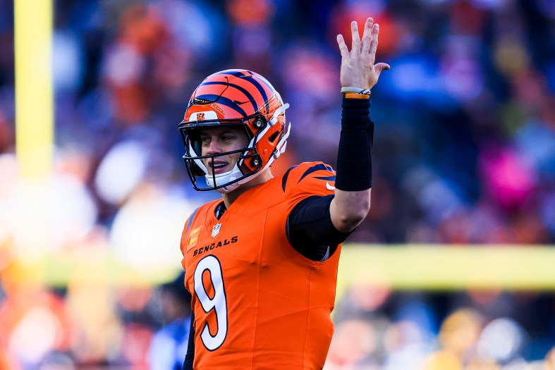 NFL: Pittsburgh Steelers at Cincinnati Bengals