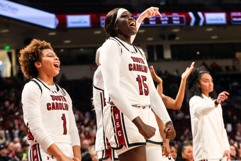 South Carolina Gamecocks