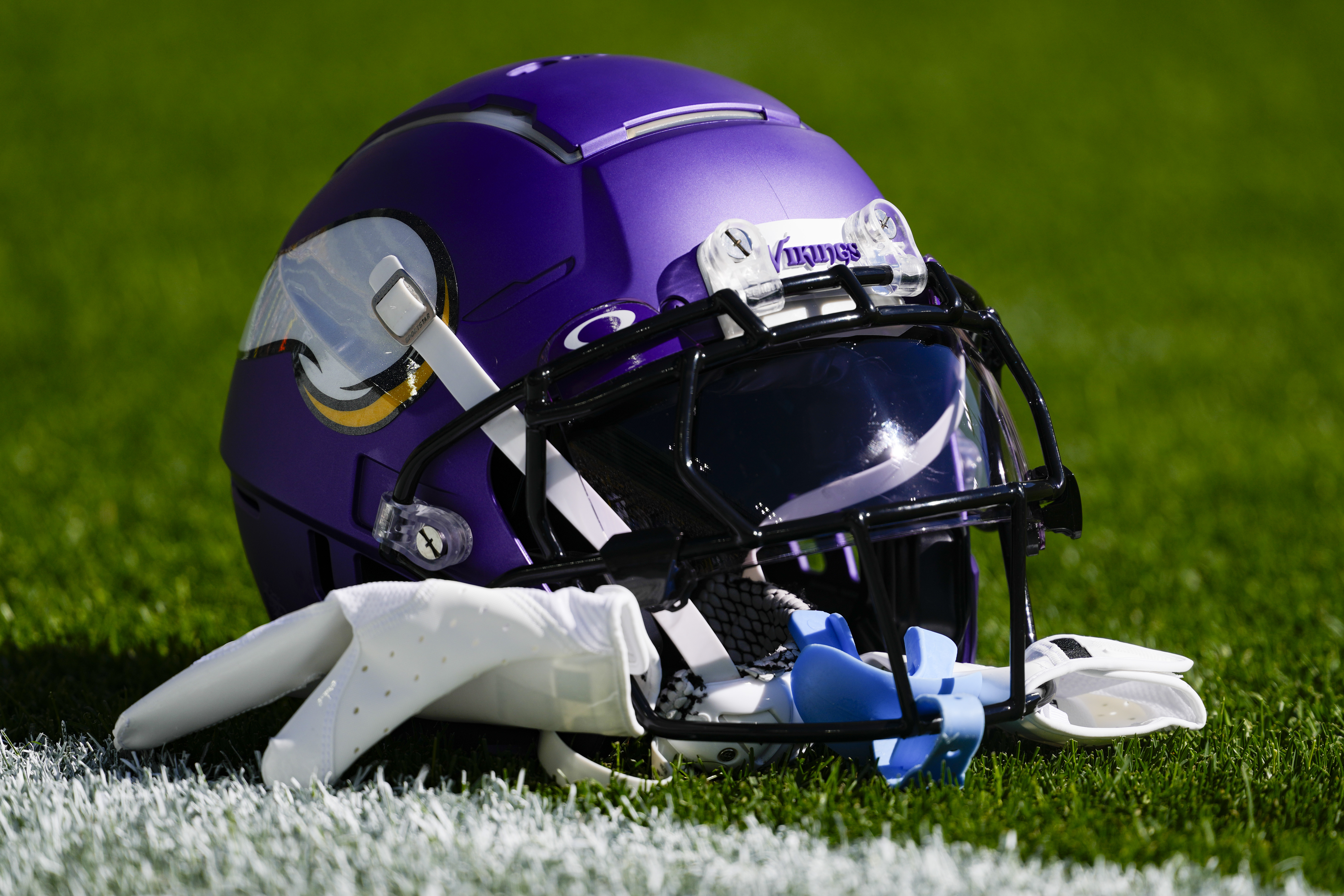 Minnesota Vikings