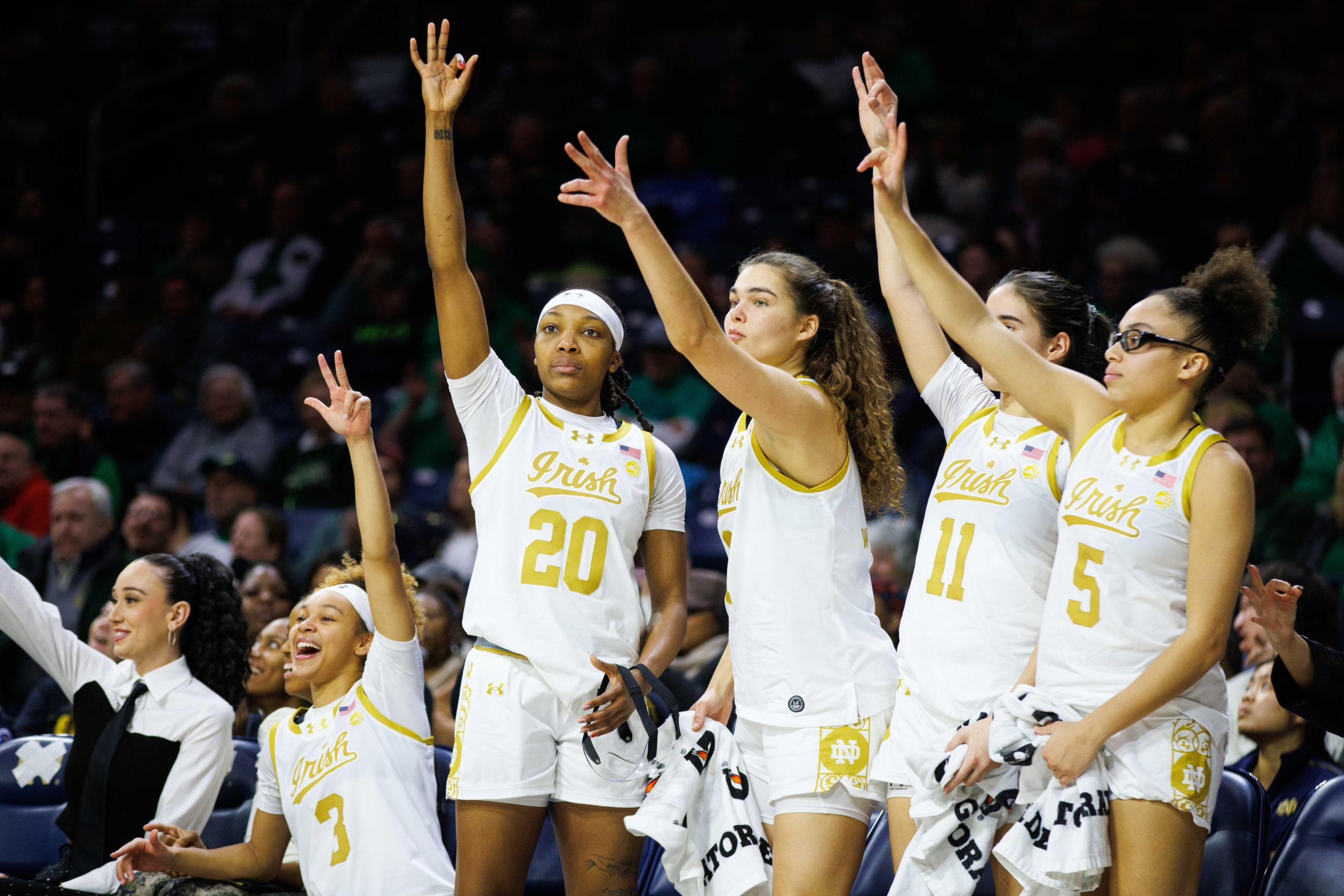 Notre Dame Fighting Irish