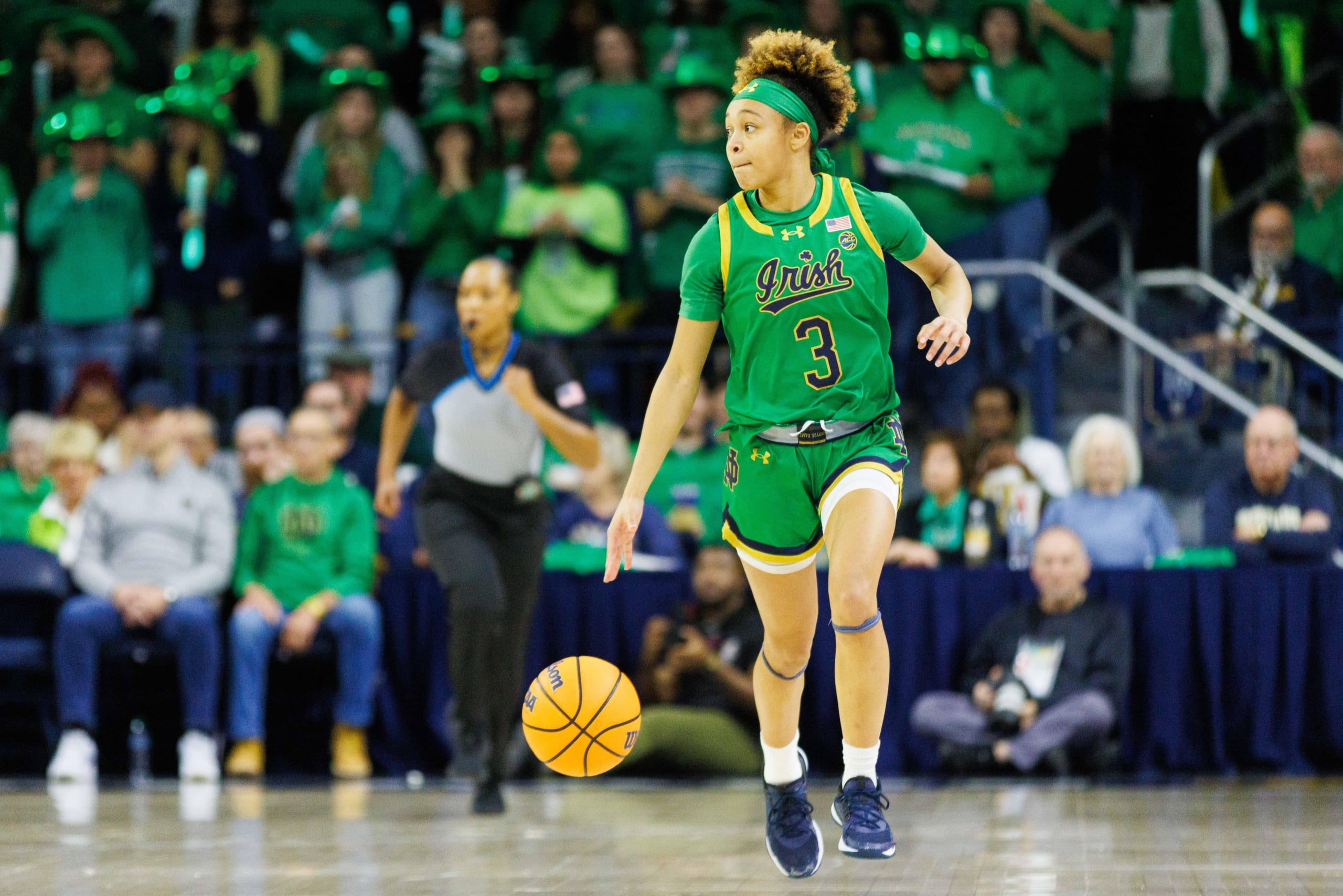 Notre Dame Fighting Irish