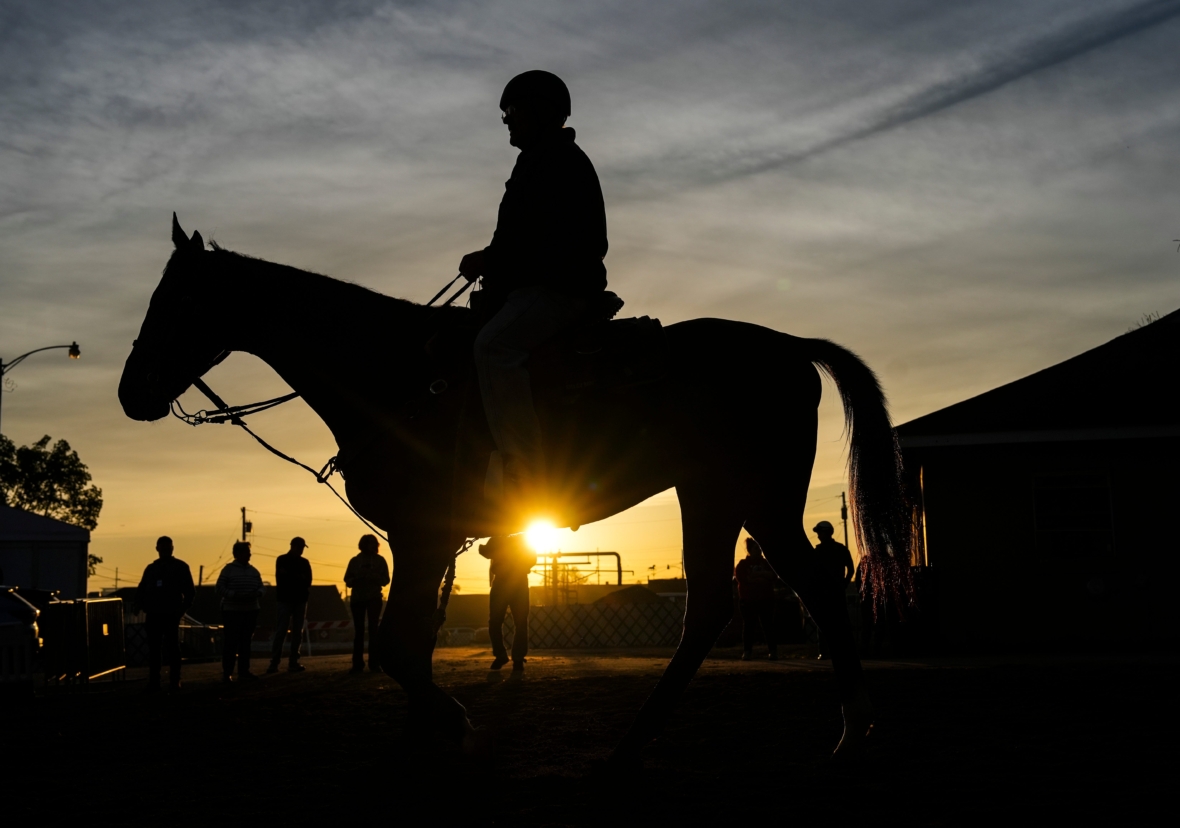 kentucky derby horses