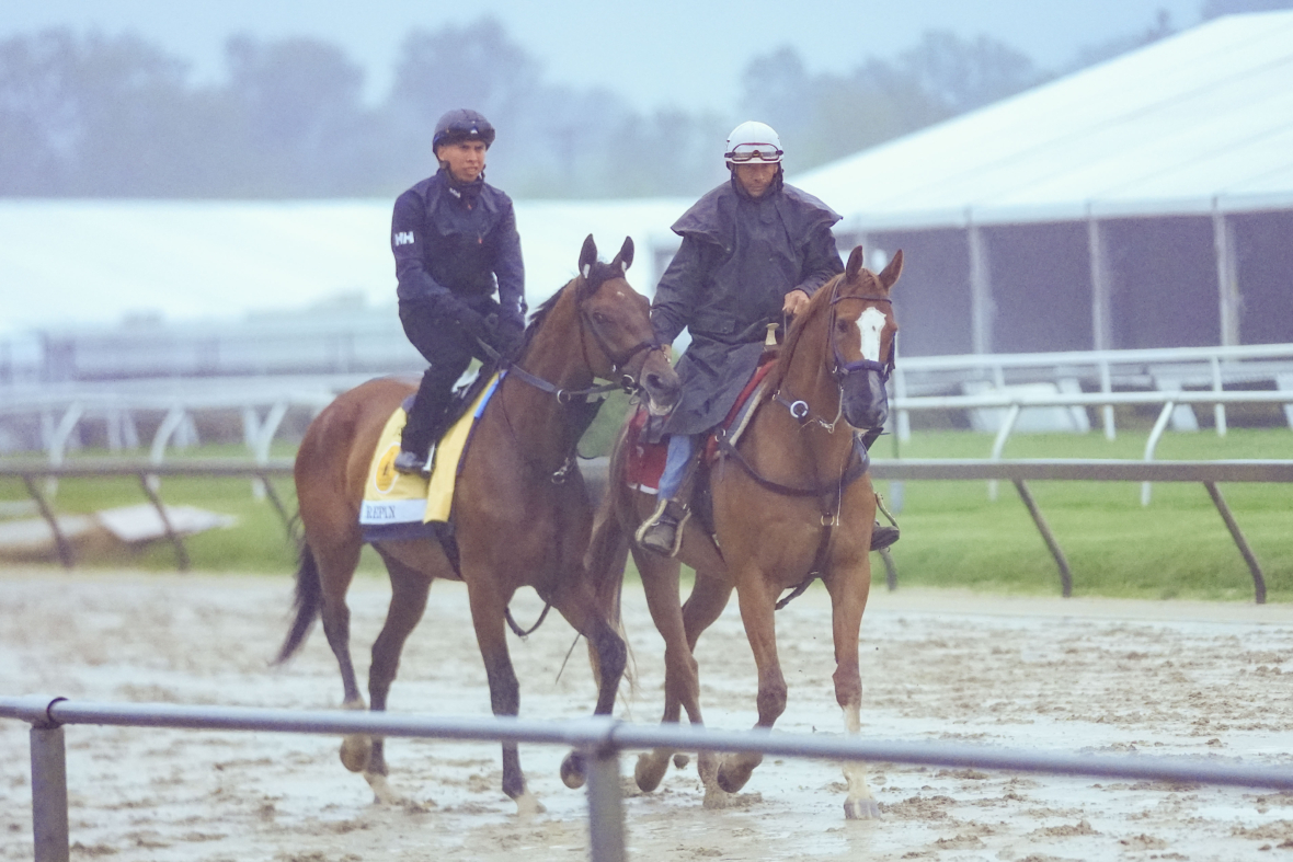 preakness stakes