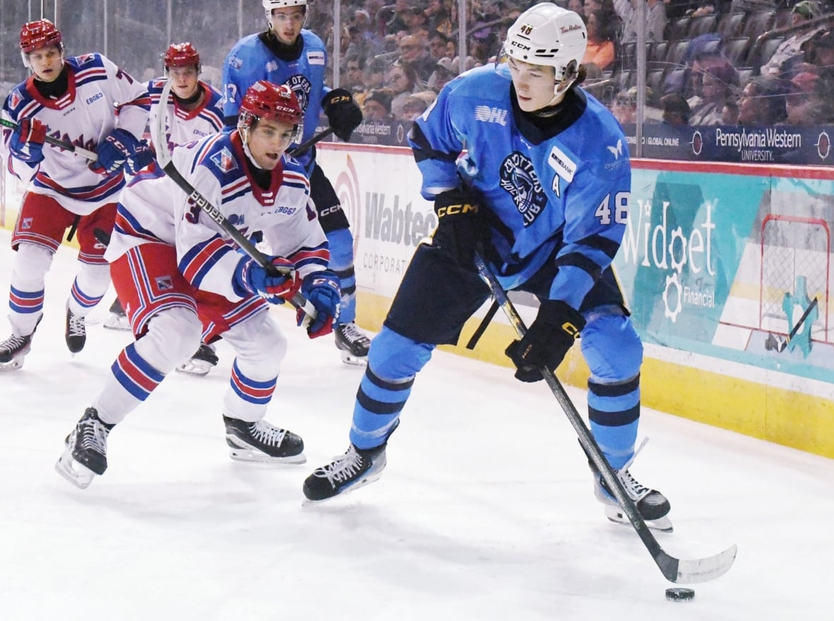 New York Islanders, Matthew Schaefer, San Jose Sharks