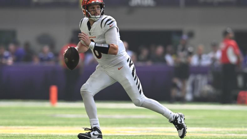 NFL: Cincinnati Bengals at Minnesota Vikings