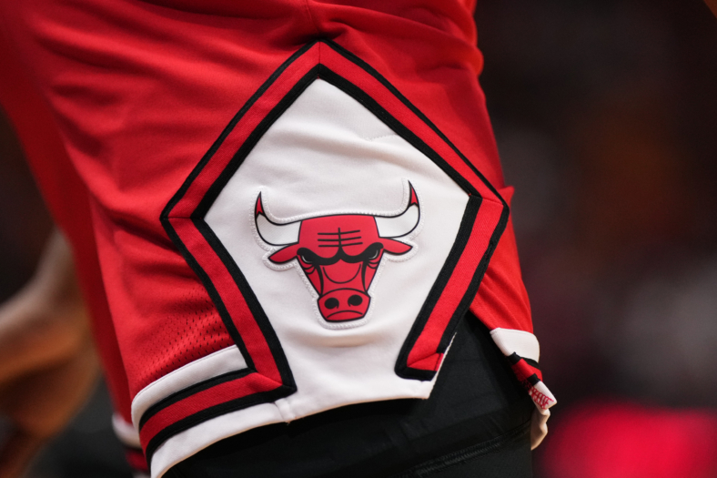 chicago bulls